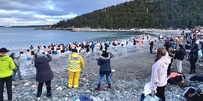 Brave Dippers Plunge into Icy Atlantic for a Cause