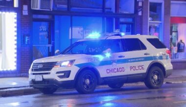Woman forced into alley, sexually assaulted in Humboldt Park