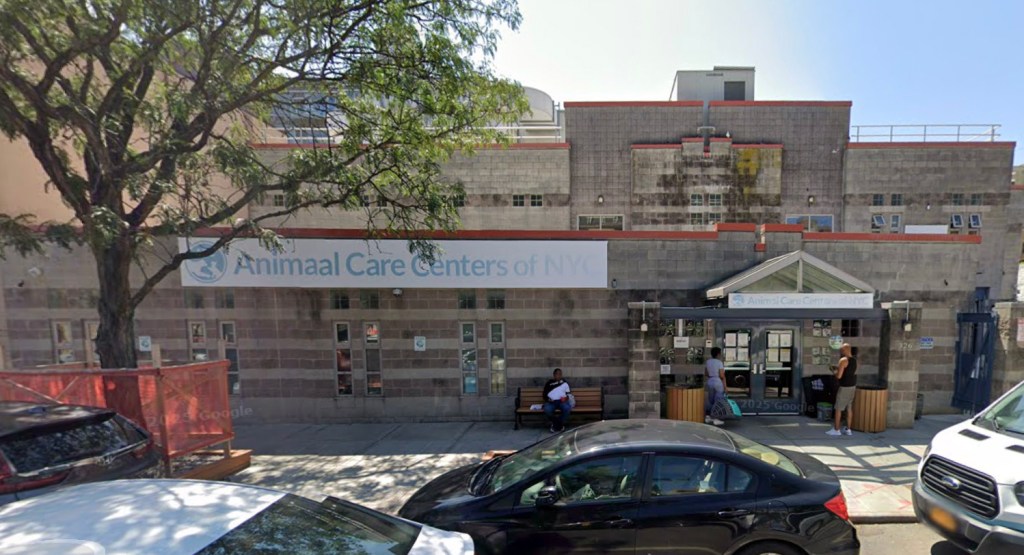 The exterior of Animal Care Centers of NYC.