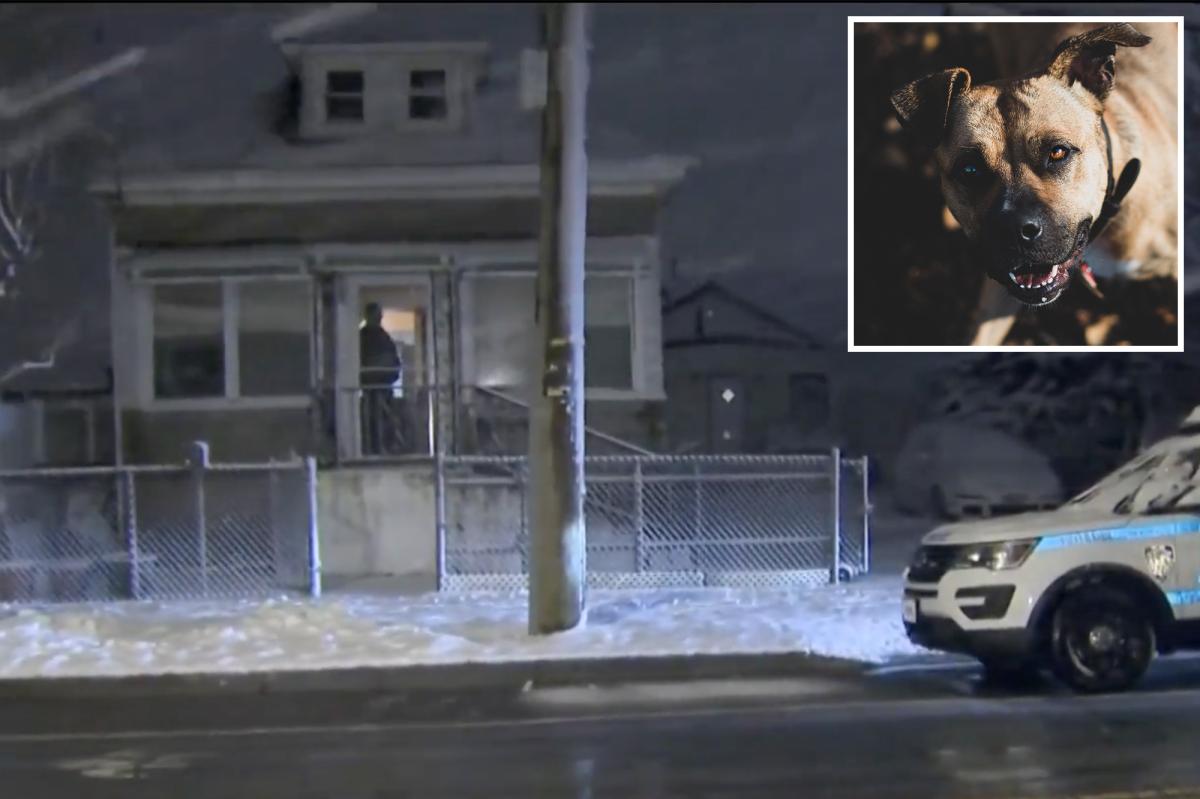 Man, 59, mauled to death by a pit bull in NYC home