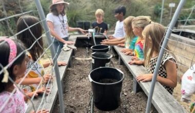 La Jolla Elementary’s expanded gardening program focuses on composting – San Diego Union-Tribune