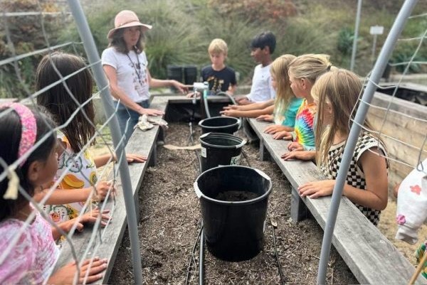 La Jolla Elementary’s expanded gardening program focuses on composting – San Diego Union-Tribune