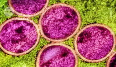 Will mpox go global again? Research shows it's evolving in curious ways