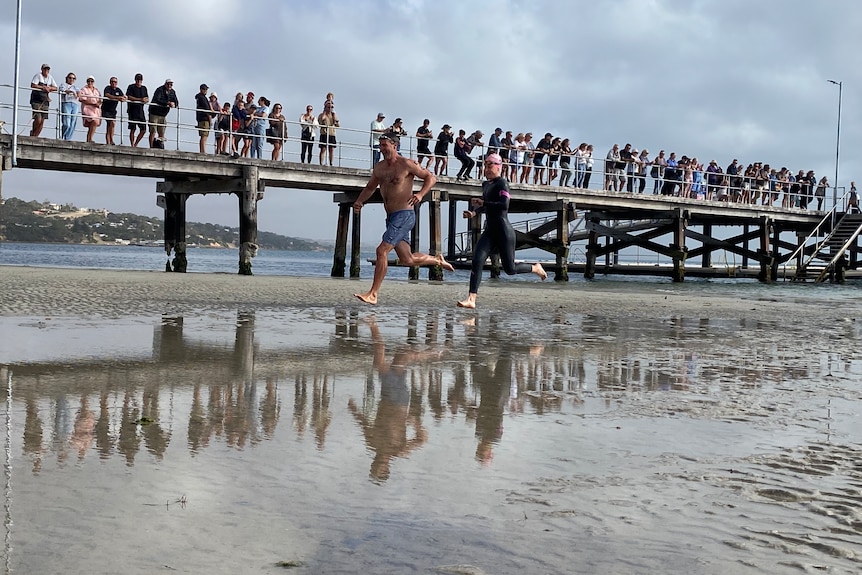 A large crowd watching the swim thru event at Tunarama.