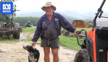 Central Queensland graziers share livestock survival stories amid flood devastation