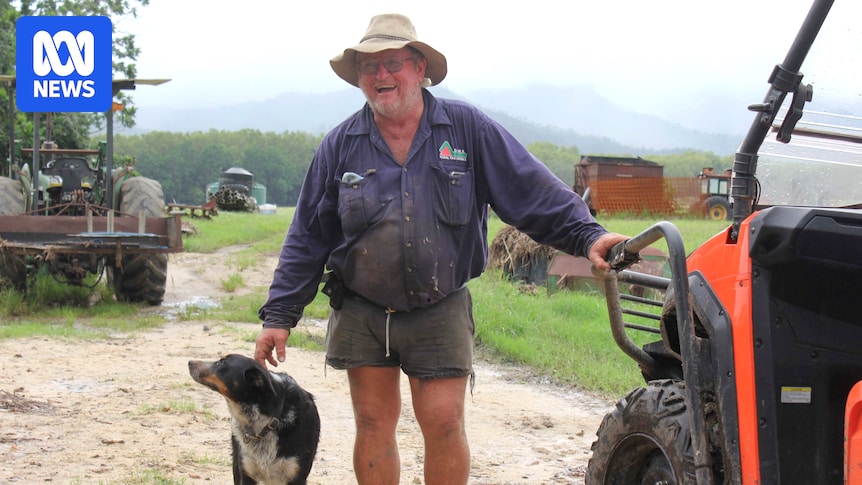 Central Queensland graziers share livestock survival stories amid flood devastation