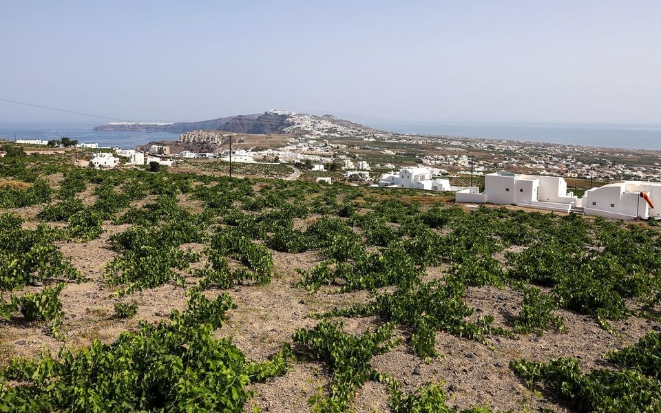 Spatial uncertainty, limited land curb investment, report warns