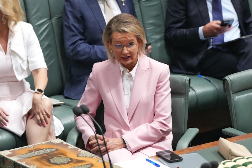 A woman in a pale pink suit in parliament, in front of a row of benches.