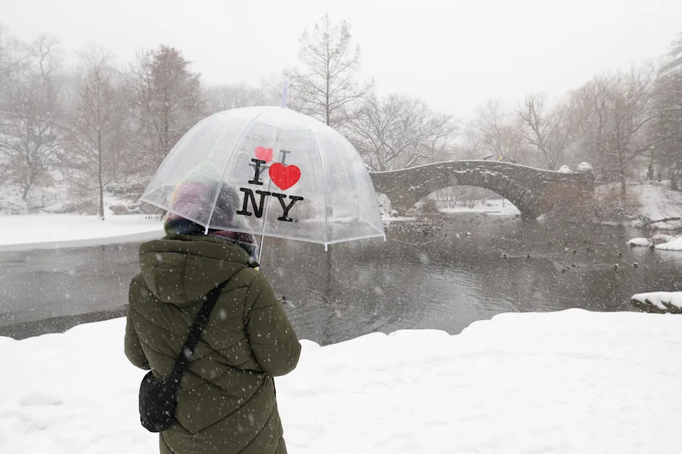 A person holds an umbrella as snow falls in Central Park in New York City on Jan. 25, 2026.