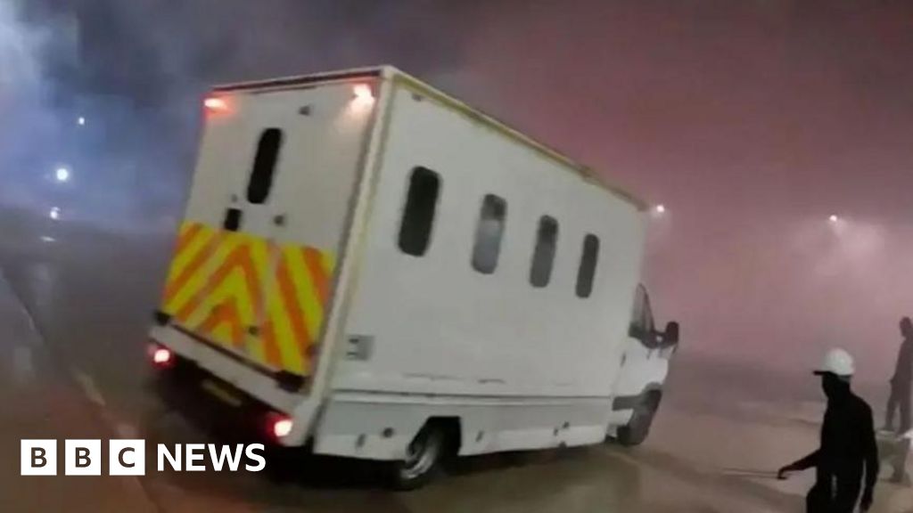 Elbit raid activist who hit policewoman described as 'gentle'