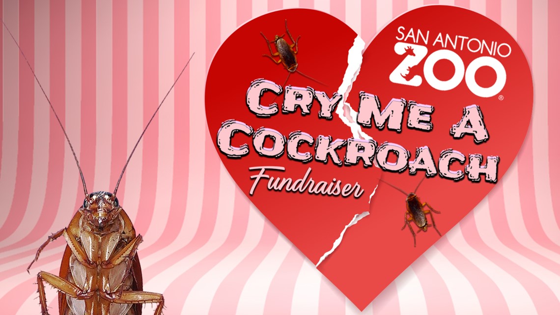 San Antonio Zoo offers Valentine's day gift with a little bite