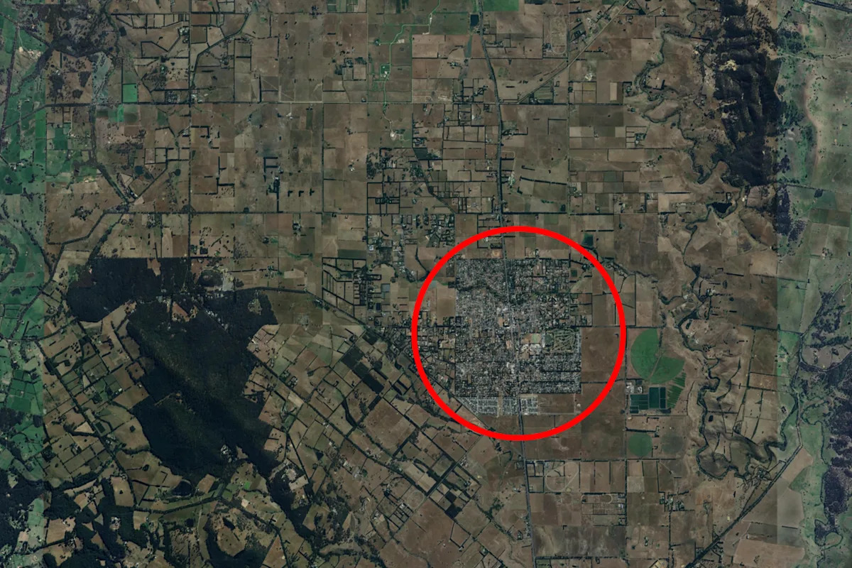 Man hospitalised after 'incident' with invasive predator in Aussie town