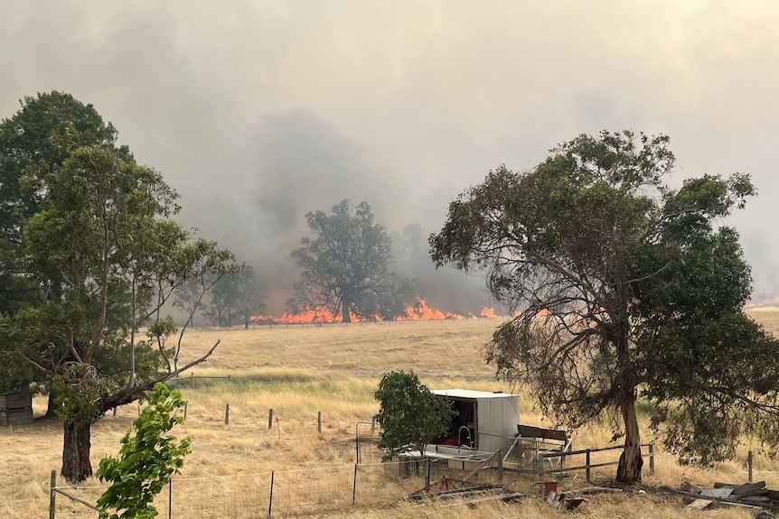 62fb338d-e689-429f-9768-a3d274b3450b