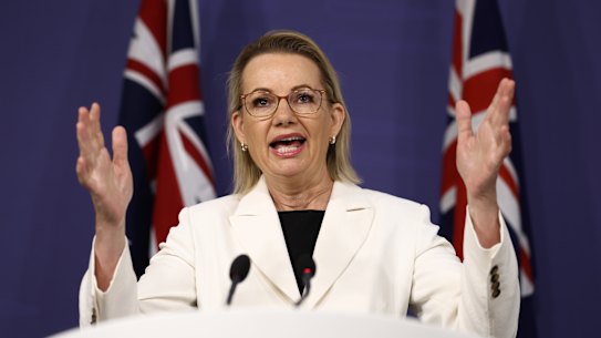 Opposition Leader Sussan Ley speaking at a press conference in Sydney on Wednesday. 