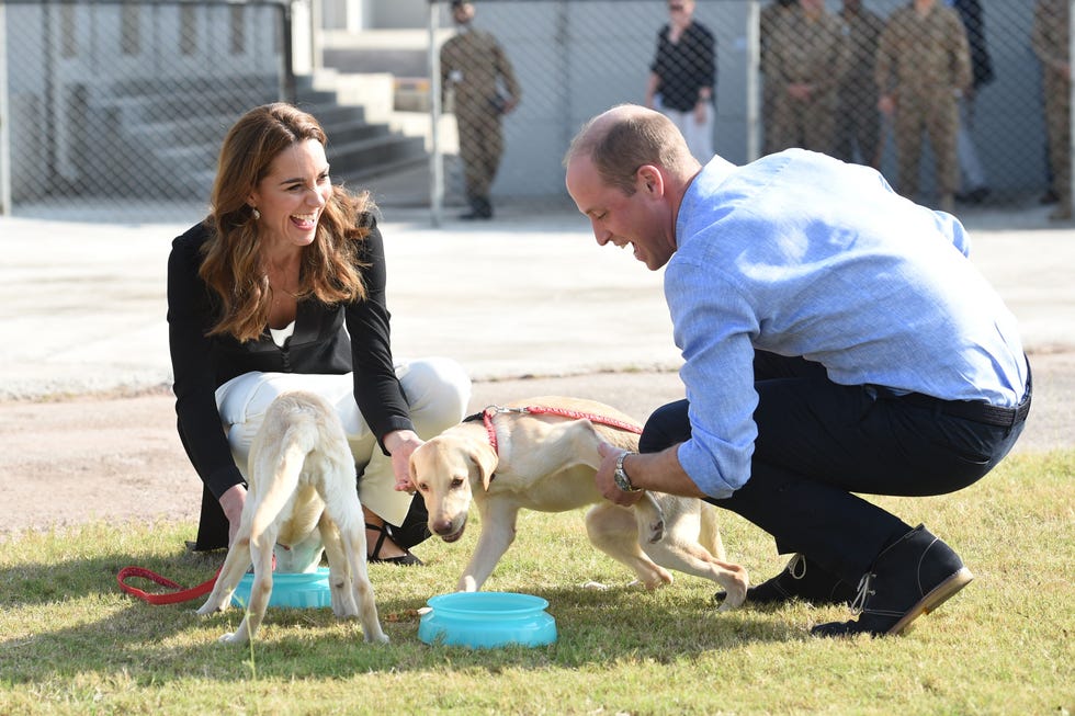 william and catherine visit an army canine centre in 2019