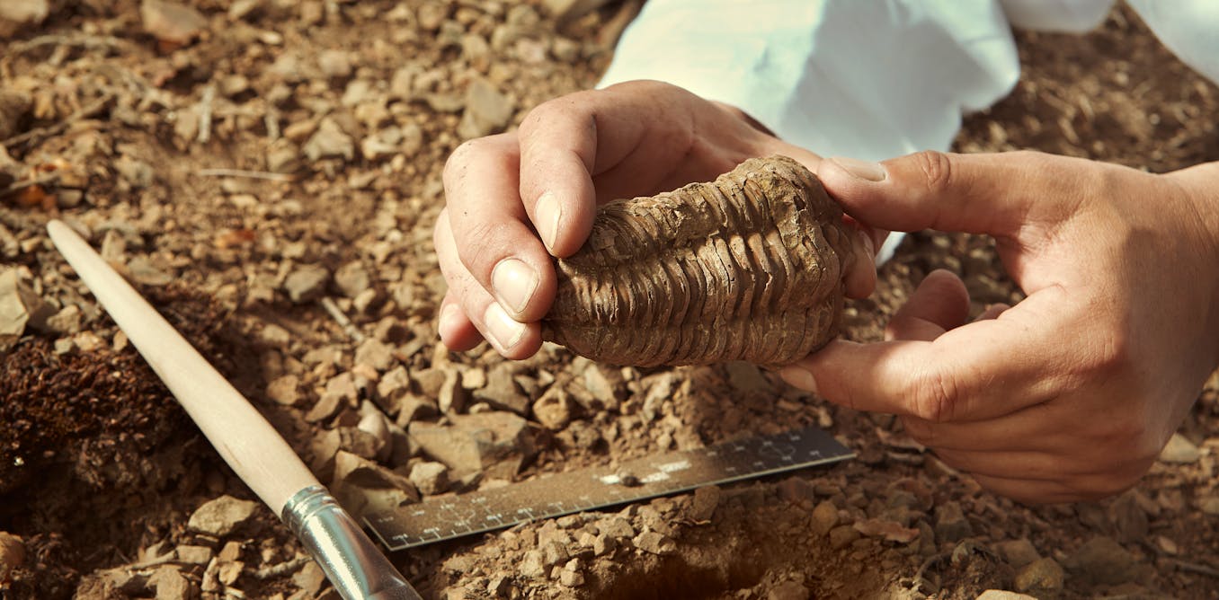 A speeding clock could solve Darwin’s mystery of gaps in animal fossil records