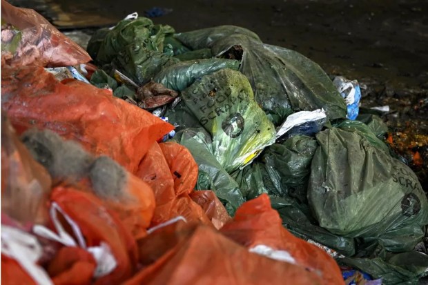 Green bags full of food scraps sit next to orange bags full of trash after being dropped off at HQ Dumpsters and Recycling in Southington. (Connecticut Public file)