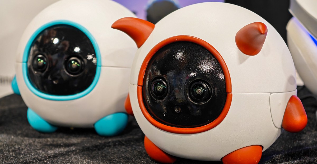 This robot companion is a cameraman for your pet