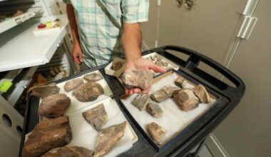 Rare fossil rewrites the story of early dinosaurs in the Southwest