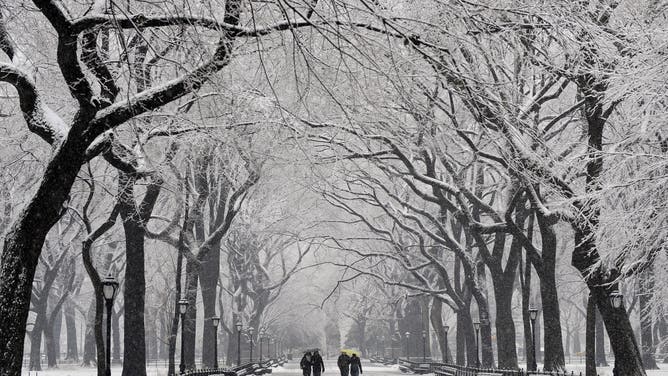 People stroll through Central Park in New York, February 25, 2010 as the the region is hit with another storm which could drop as much as a foot of snow in New York City and parts of the metropolitan region. 