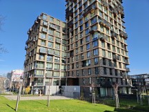 Daylight, main cameras, 1x: Honor Magic8 Pro - 23mm, f/1.6, ISO 50, 1/810s (4096x3072px) - Honor Magic8 Pro vs. Oppo Find X9 Pro vs. vivo X300 Pro