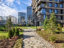 Daylight, main cameras, 1x: Honor Magic8 Pro - 23mm, f/1.6, ISO 50, 1/590s (4096x3072px) - Honor Magic8 Pro vs. Oppo Find X9 Pro vs. vivo X300 Pro