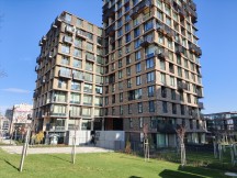 Daylight, main cameras, 1x: Oppo Find X9 Pro - 23mm, f/1.5, ISO 80, 1/4041s (4096x3072px) - Honor Magic8 Pro vs. Oppo Find X9 Pro vs. vivo X300 Pro