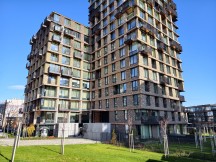 Daylight, main cameras, 1x: vivo X300 Pro - 24mm, f/1.6, ISO 72, 1/1484s (4096x3072px) - Honor Magic8 Pro vs. Oppo Find X9 Pro vs. vivo X300 Pro