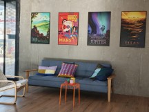 Daylight, main cameras, 2x: Oppo Find X9 Pro - 47mm, f/1.5, ISO 125, 1/200s (4096x3072px) - Honor Magic8 Pro vs. Oppo Find X9 Pro vs. vivo X300 Pro