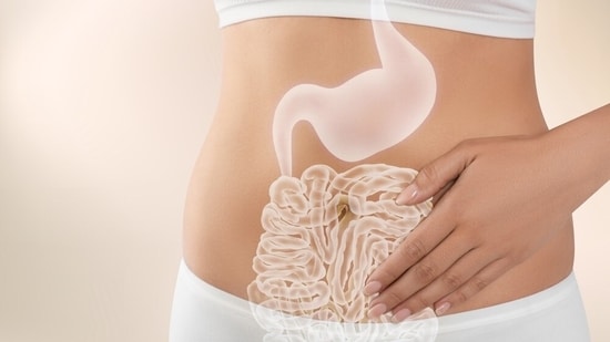The gut is closely connected to the brain, so know which foods help to strengthen this connection. (Shutterstock)