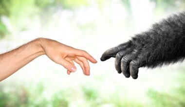 What’s The Difference Between Hominins And Hominids?