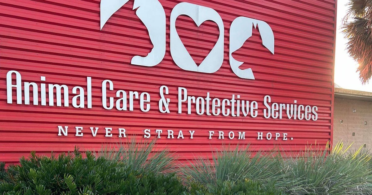 Jacksonville Animal Cruelty cases bring real consequences – Action News Jax