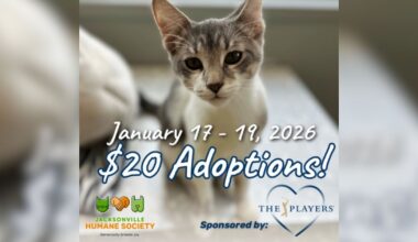 THE PLAYERS teams up with Jacksonville Humane Society for $20 pet adoptions – Action News Jax