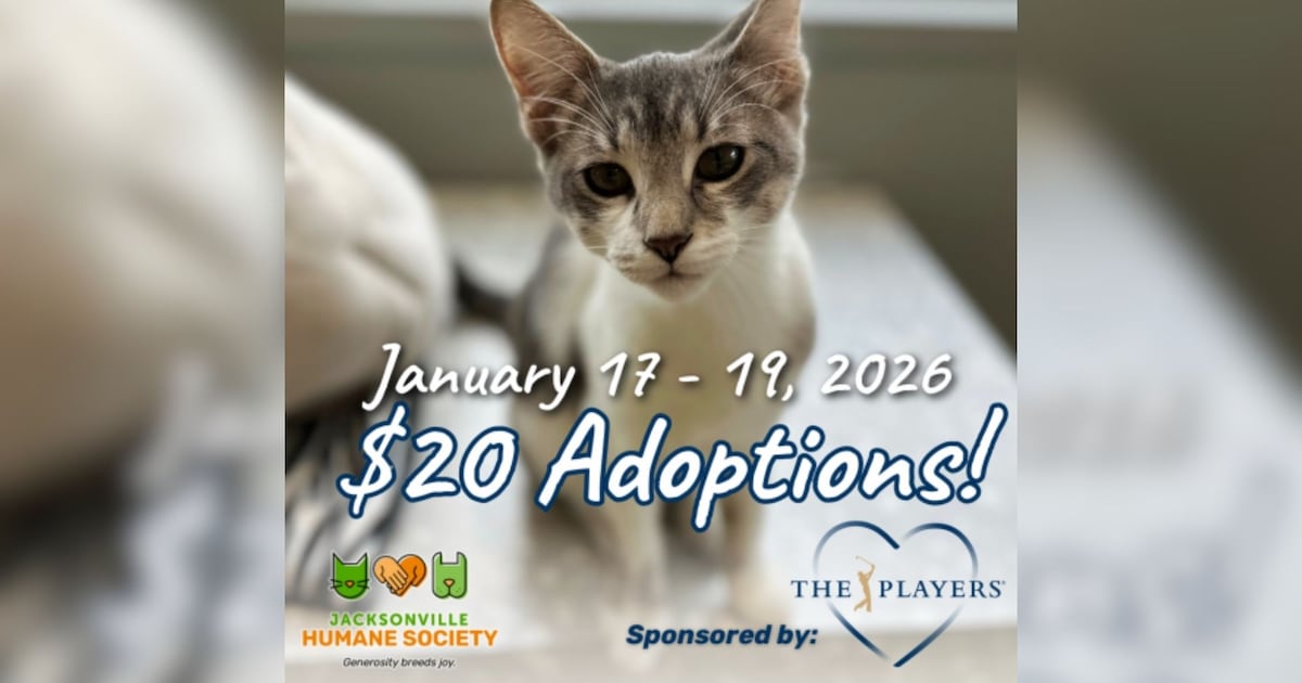 THE PLAYERS teams up with Jacksonville Humane Society for $20 pet adoptions – Action News Jax