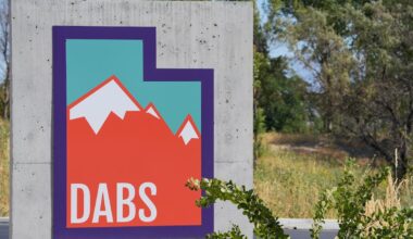 How to buy the Chicago institution now distributed here