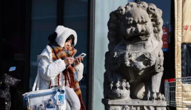 A woman in a winter coat uses her phone while walking past a traditional stone lion statue on a Beijing street.