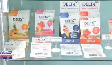 New Florida bill would bring back the ‘smell test’ and create open container laws for cannabis – Action News Jax