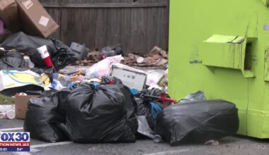 Residents in Clay County apartments upset over trash not being picked up for weeks  – Action News Jax