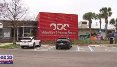 Jacksonville councilmember pushing to shorten time for city animal shelter to hold strays – Action News Jax
