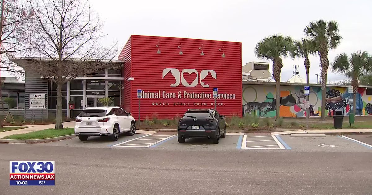 Jacksonville councilmember pushing to shorten time for city animal shelter to hold strays – Action News Jax