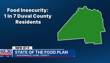 New Jacksonville ‘State of Food’ plan seeks to address food insecurity and affordability – Action News Jax