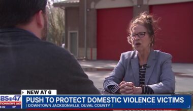 Florida lawmakers team up to better protect domestic violence victims – Action News Jax