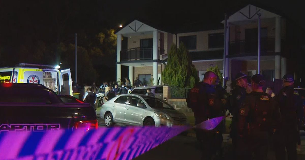 Man stabbed after huge brawl erupts on residential street in Greenacre