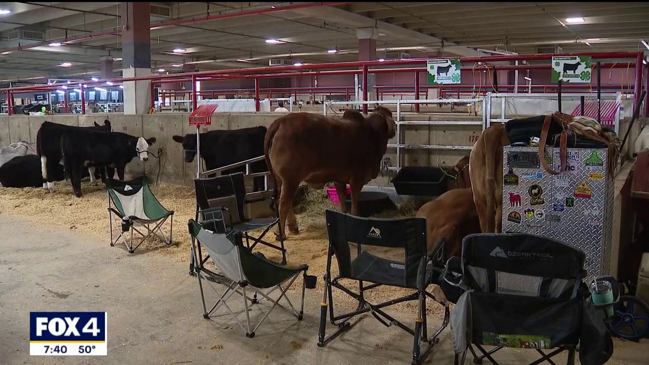 Fort Worth Stock Show continues on despite winter weather