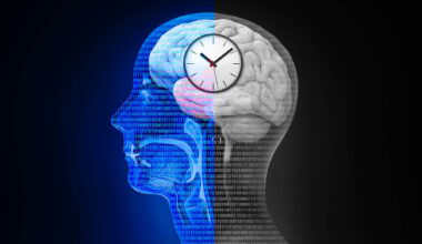 New study shows that female sex hormones can impact the body's inner clocks