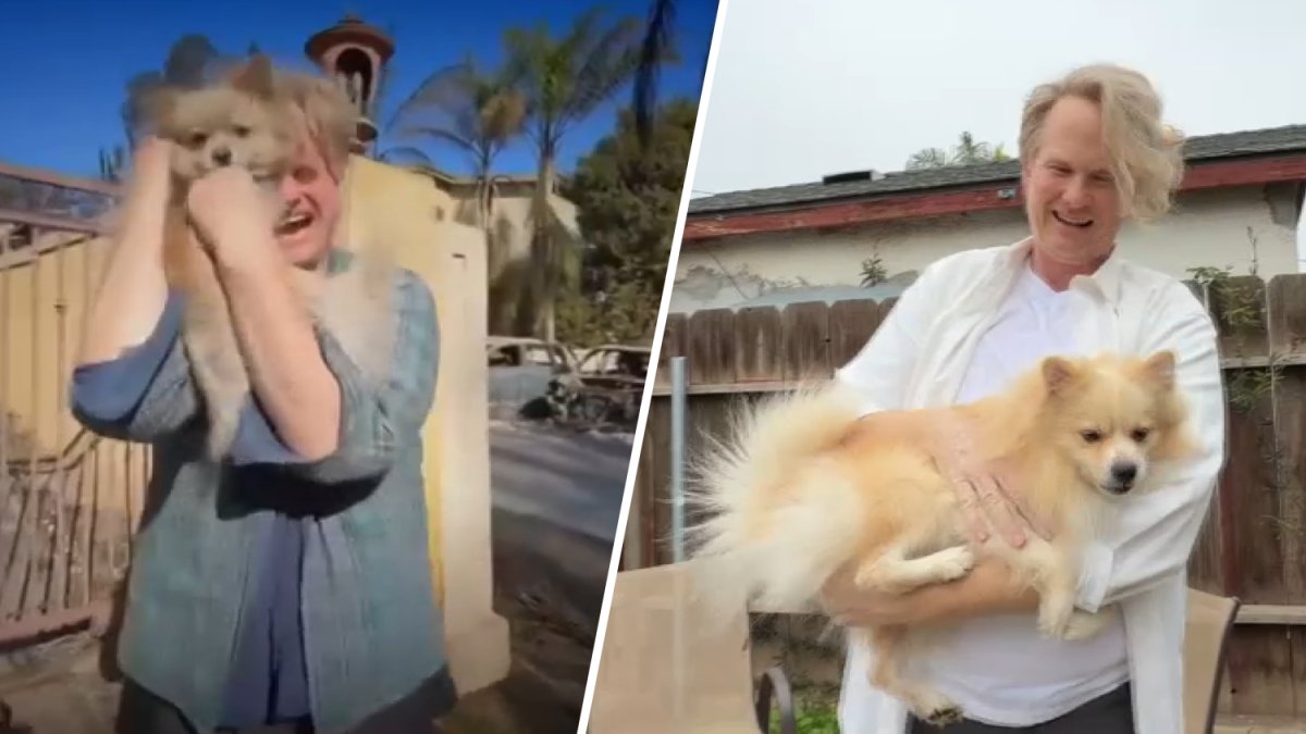 How Oreo’s Palisades Fire rescue sparked change in California law – NBC Los Angeles