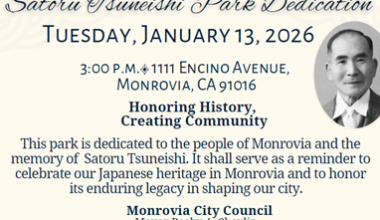 This Week In Livable Streets