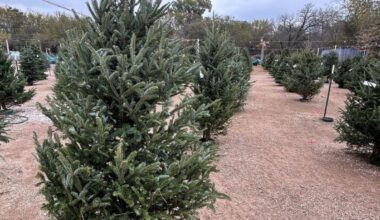 What to know – NBC 5 Dallas-Fort Worth