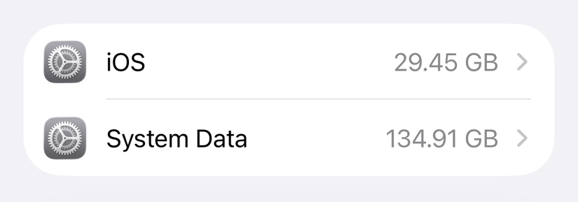 iPhone System Data showing as 134.91GB.