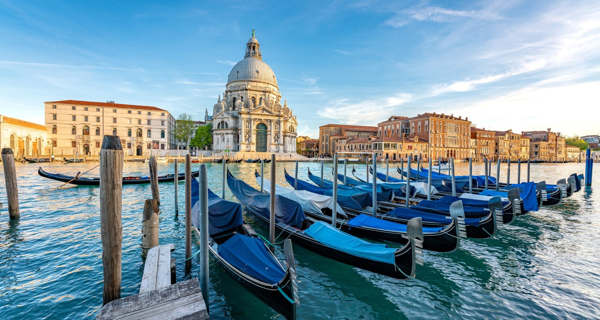 Cannibalistic jellyfish invade holiday hotspot as 'warty comb' creatures wreak havoc in lagoon after 'arriving on ship'